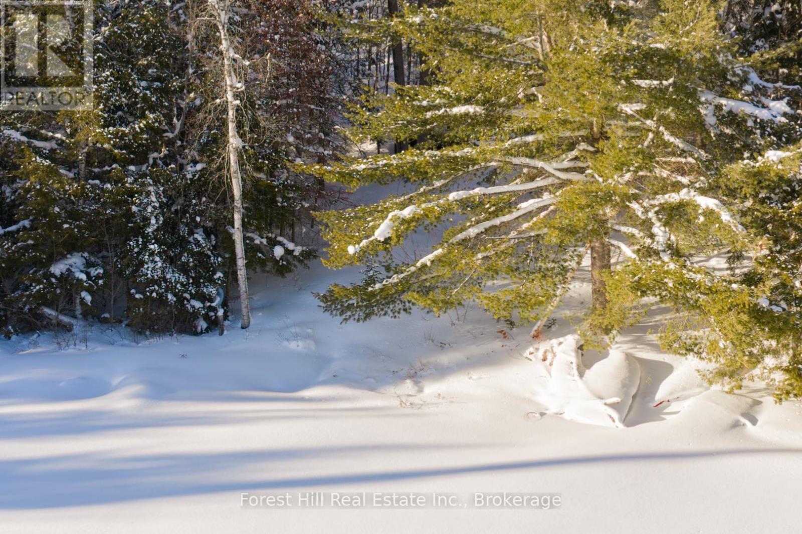 1107 Crane Lake Road, Algonquin Highlands, Ontario  P0A 1E0 - Photo 12 - X12758824