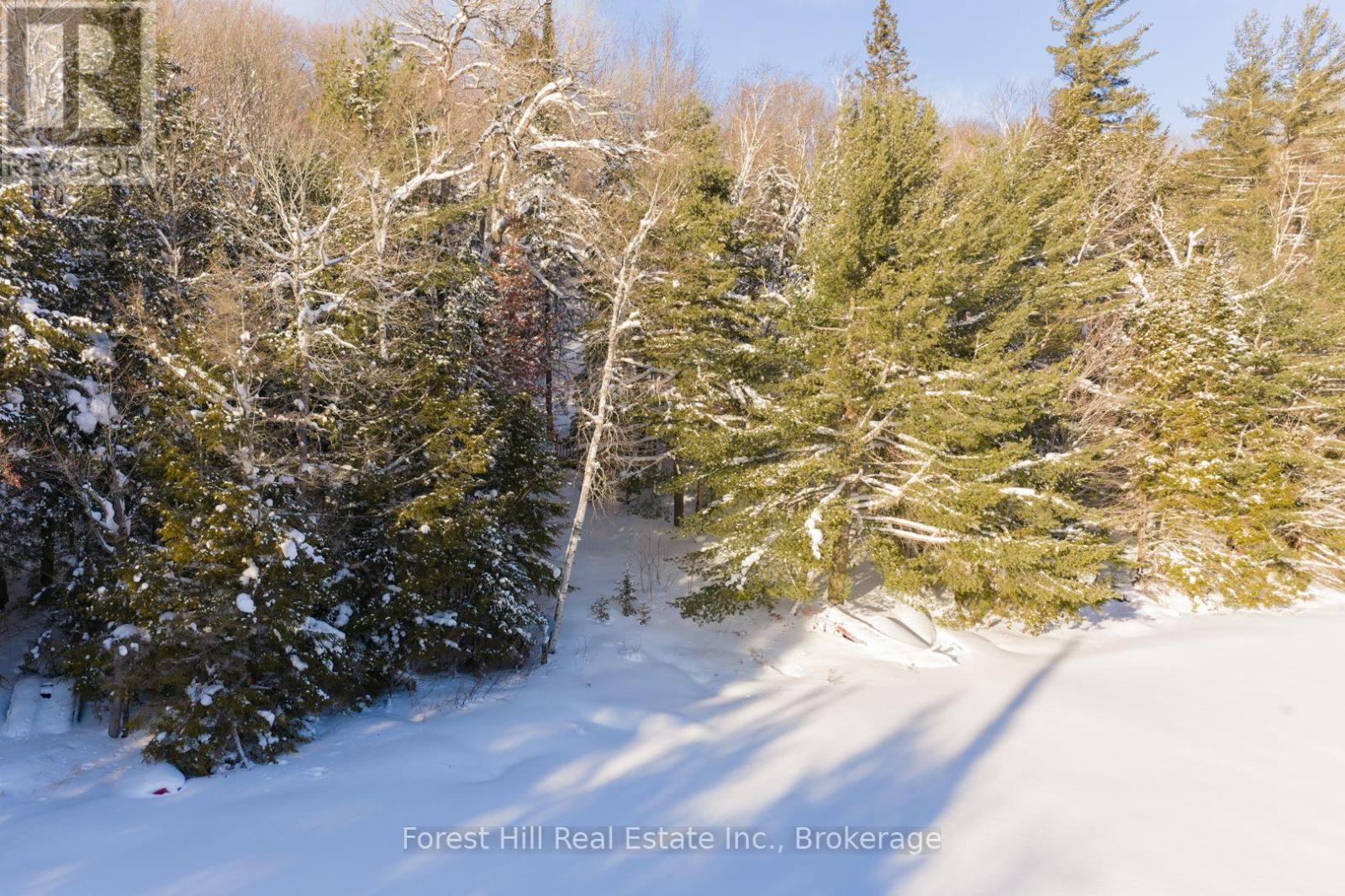 1107 Crane Lake Road, Algonquin Highlands, Ontario  P0A 1E0 - Photo 11 - X12758824