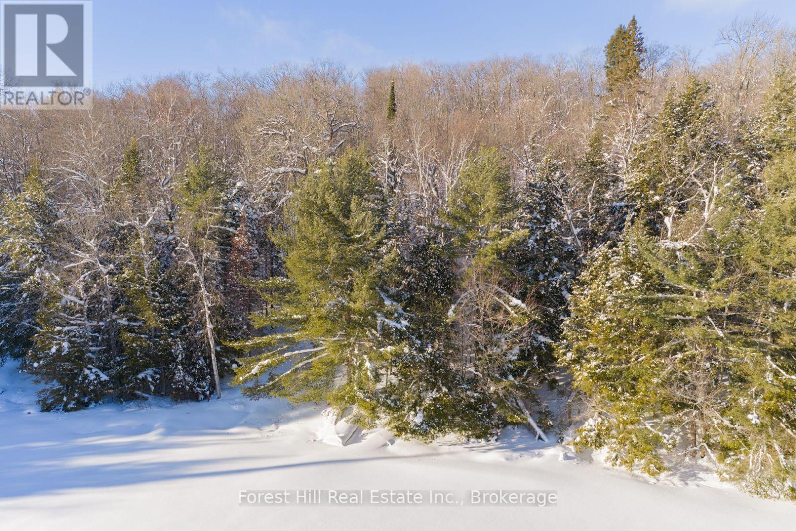 1107 Crane Lake Road, Algonquin Highlands, Ontario  P0A 1E0 - Photo 13 - X12758824