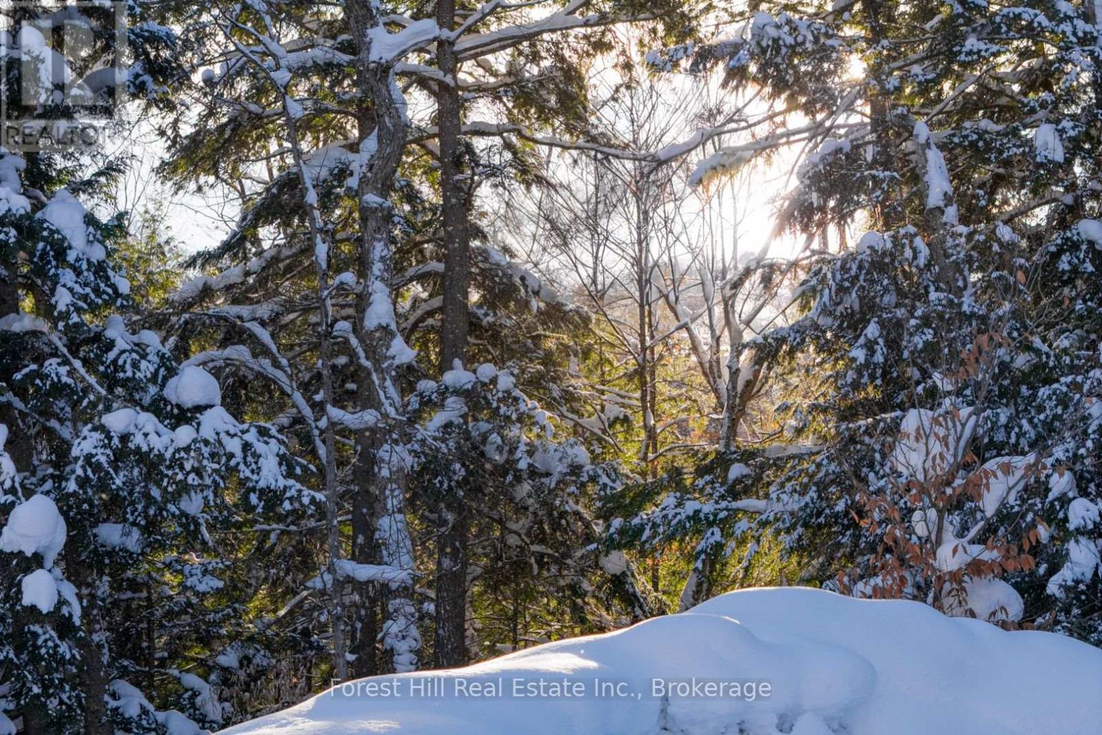 1107 Crane Lake Road, Algonquin Highlands, Ontario  P0A 1E0 - Photo 26 - X12758824