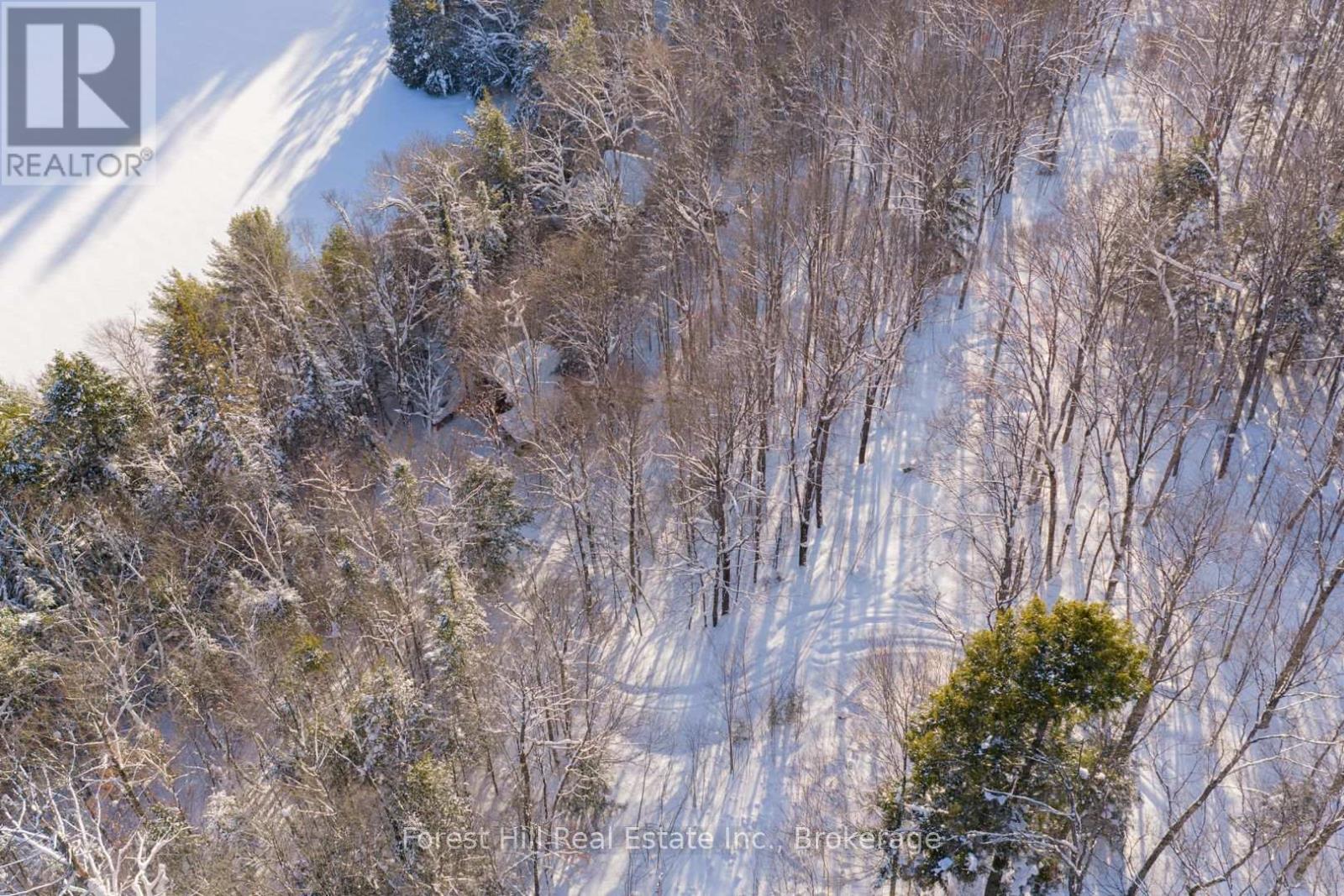1107 Crane Lake Road, Algonquin Highlands, Ontario  P0A 1E0 - Photo 28 - X12758824