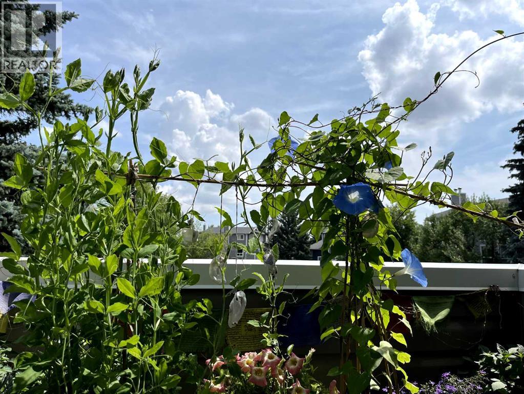 43, 200 Shawnessy Drive Sw, Calgary, Alberta  T2Y 2X3 - Photo 33 - A2281896