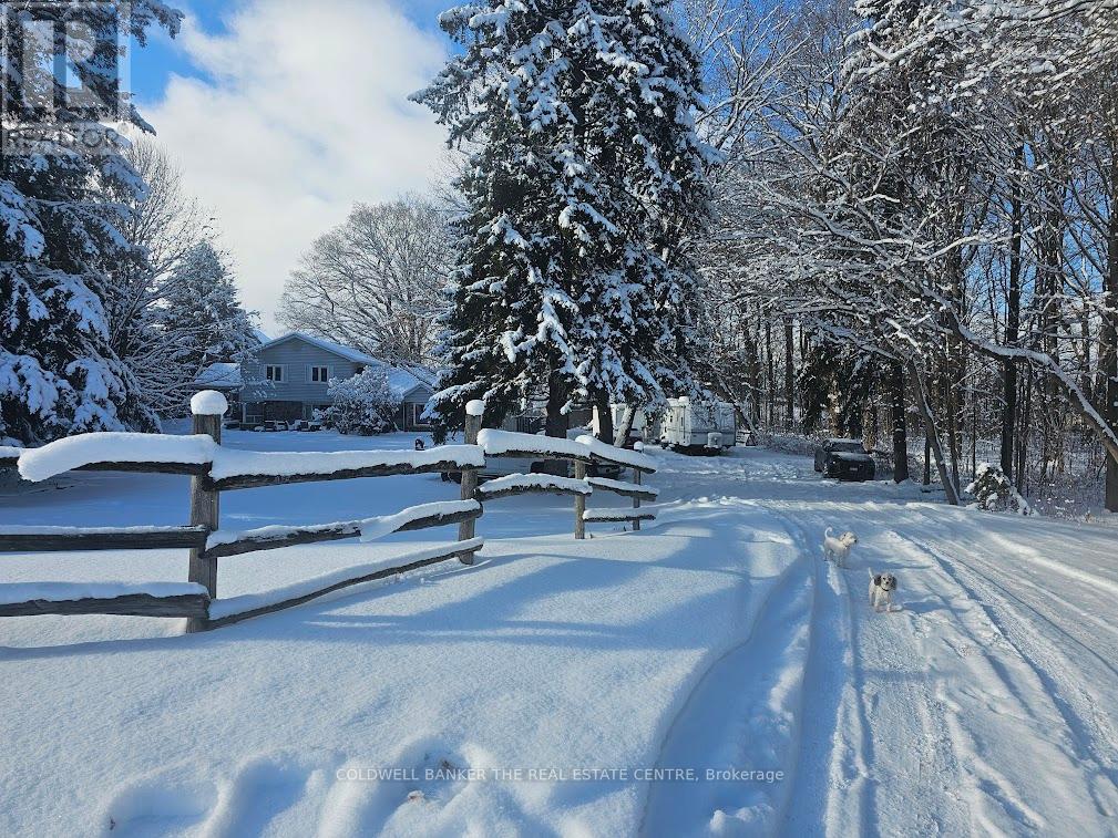 158 Samuel Lount Road, East Gwillimbury, Ontario  L9N 1K3 - Photo 2 - N12656364