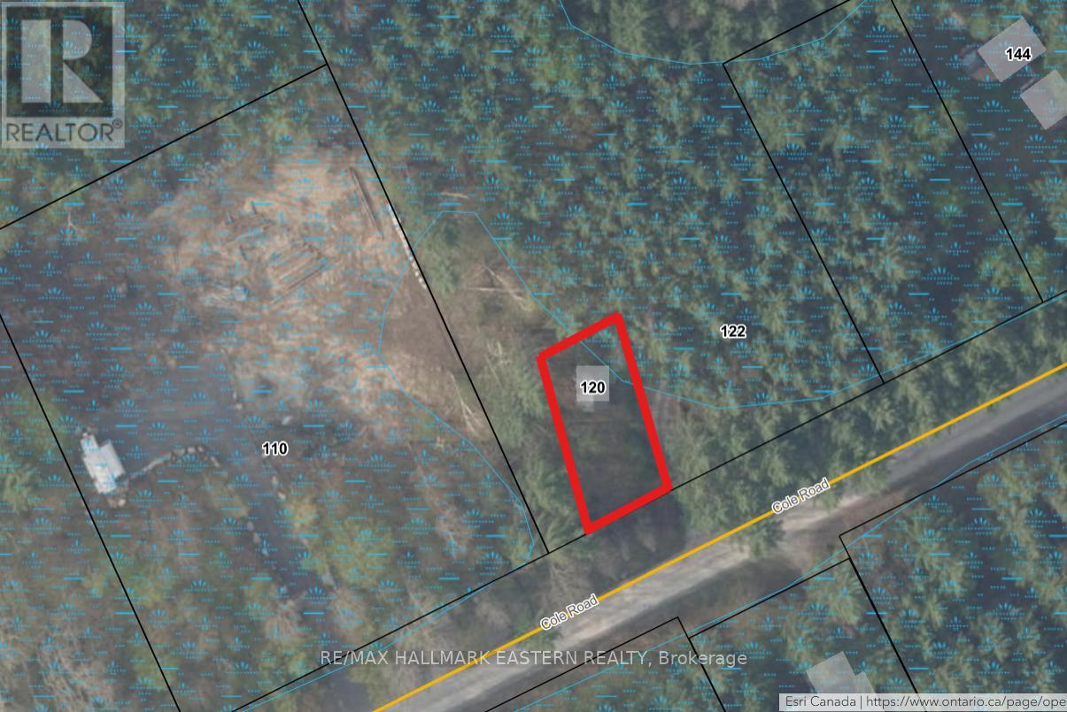 120 Cole Road, Havelock-Belmont-Methuen (Belmont-Methuen), Ontario  K0L 1Z0 - Photo 2 - X12755044