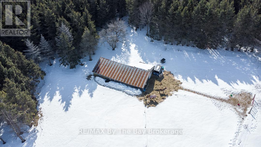 2553 County 42 Road, Clearview, Ontario  L0M 1S0 - Photo 46 - S12757382