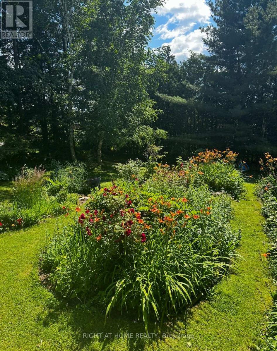 1628 Warminster Side Road, Oro-Medonte, Ontario  L0K 1E0 - Photo 38 - S12759174