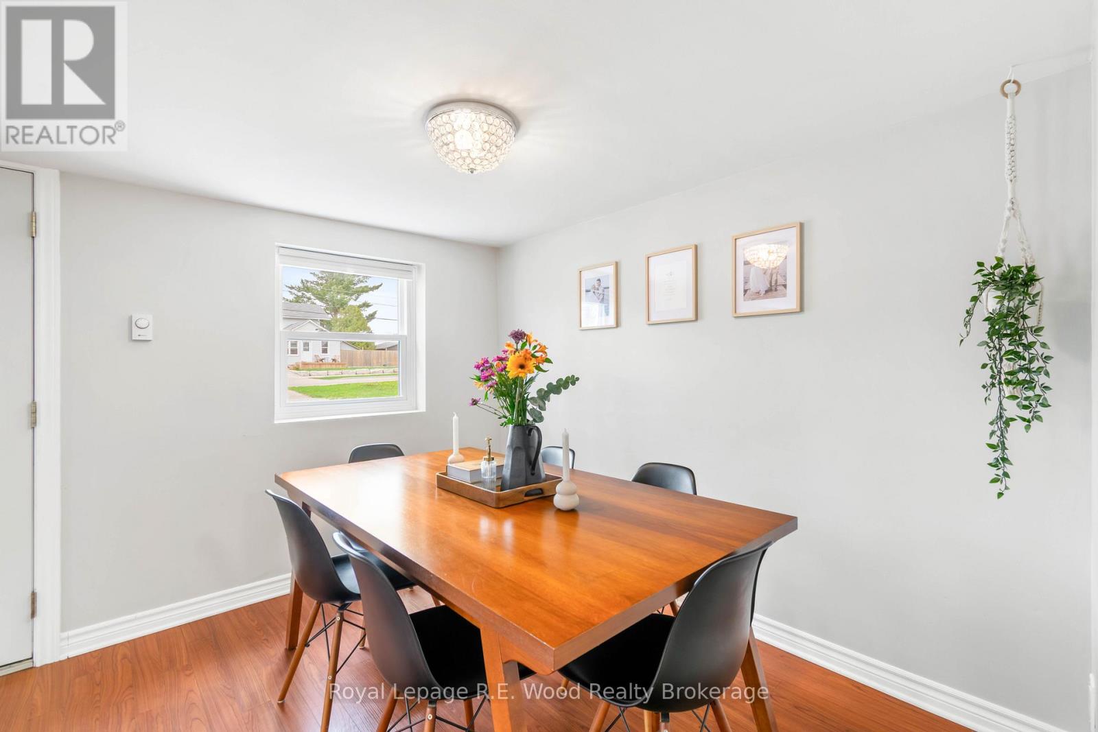 133 North Street E, Tillsonburg, Ontario  N4G 1B4 - Photo 4 - X12759352