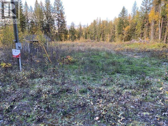 450 Dunn Lake Road, Clearwater, British Columbia  V0E 1N0 - Photo 2 - 10374998