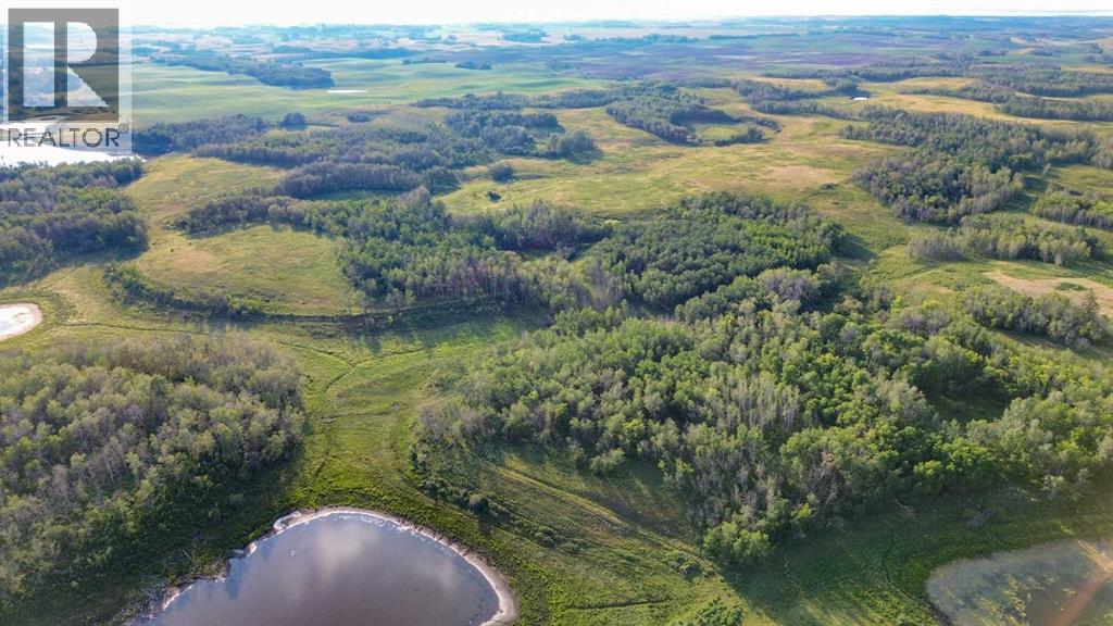 On Hwy 601, Rural Stettler No. 6, Alberta  T0C 2L0 - Photo 12 - A2233971