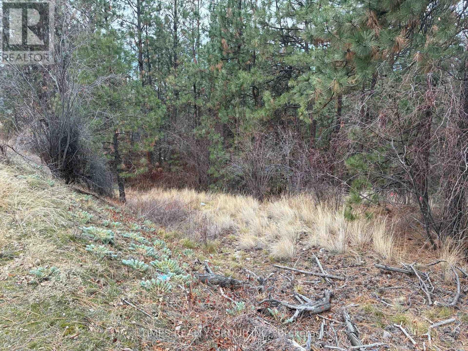 Lot 2 Forest Hills Drive, Lake Country, British Columbia  V4V 1A5 - Photo 4 - X12757112