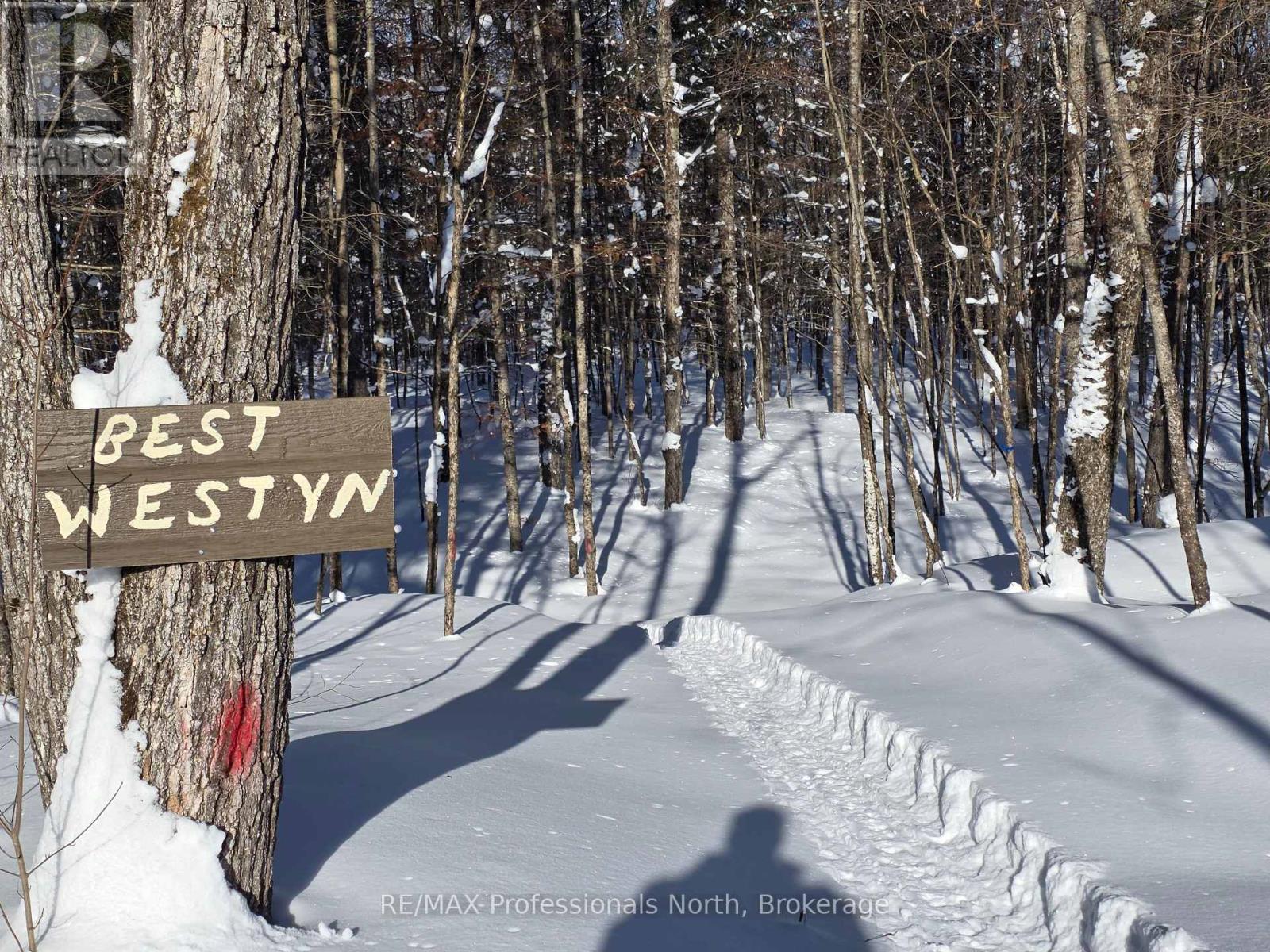 1453 Minnicock Lake Road, Dysart Et Al, Ontario  K0M 1S0 - Photo 3 - X12490266