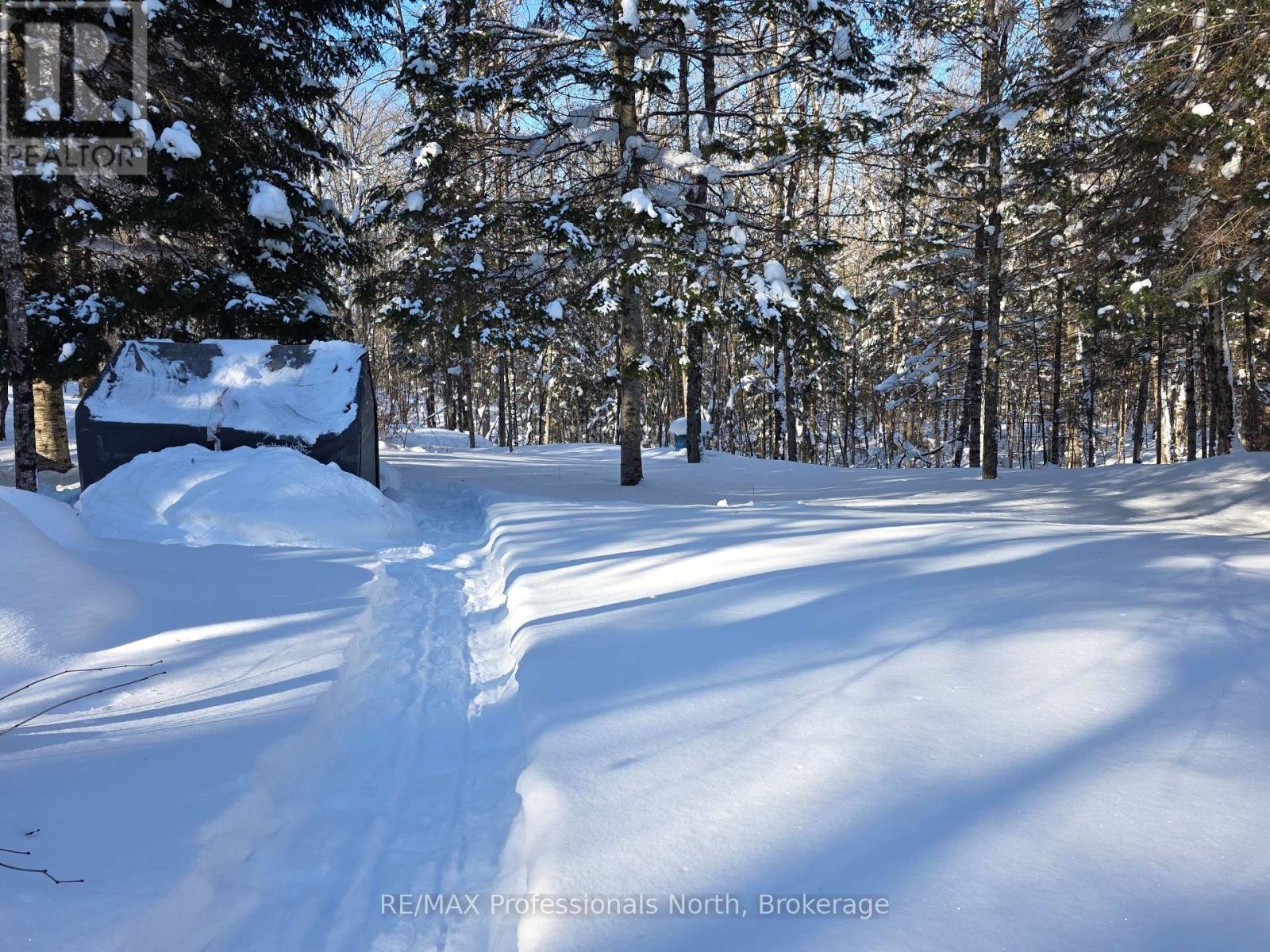 1453 Minnicock Lake Road, Dysart Et Al, Ontario  K0M 1S0 - Photo 4 - X12490266