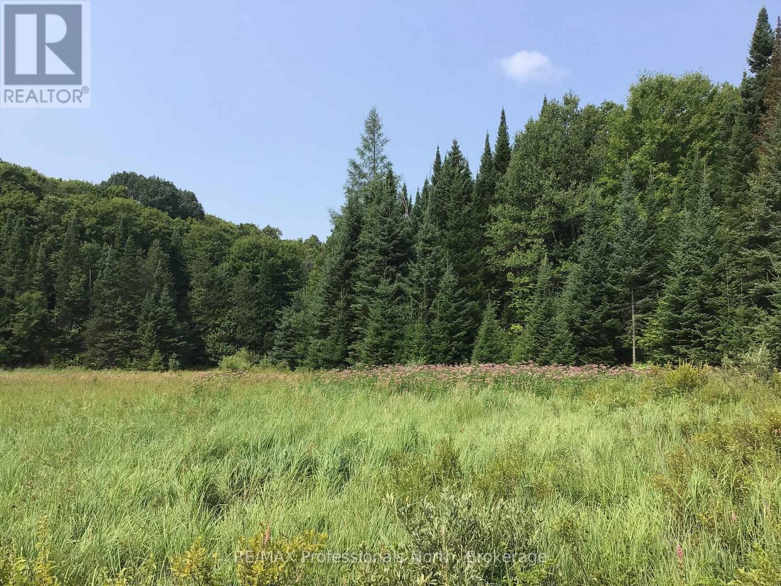 1453 Minnicock Lake Road, Dysart Et Al, Ontario  K0M 1S0 - Photo 47 - X12490266