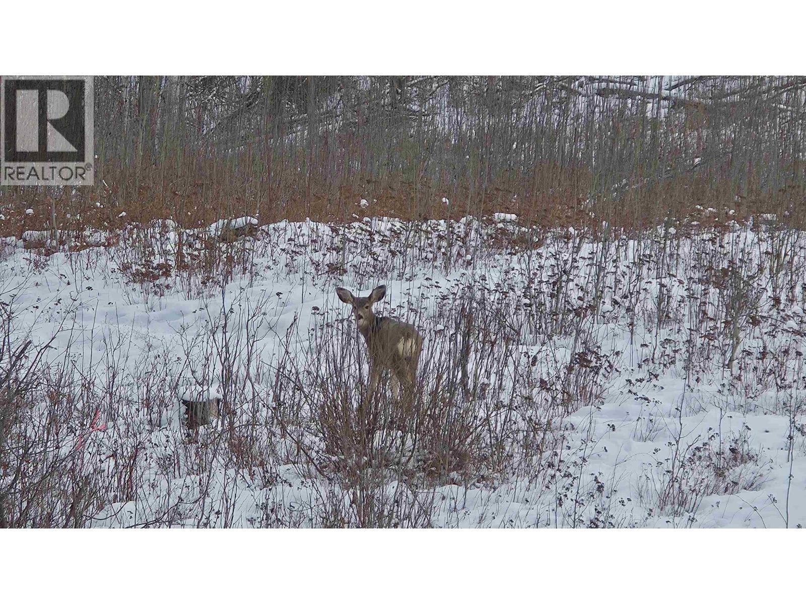 4132-4136 Munro Way, Prince George, British Columbia  V2N 0K1 - Photo 39 - R3086661