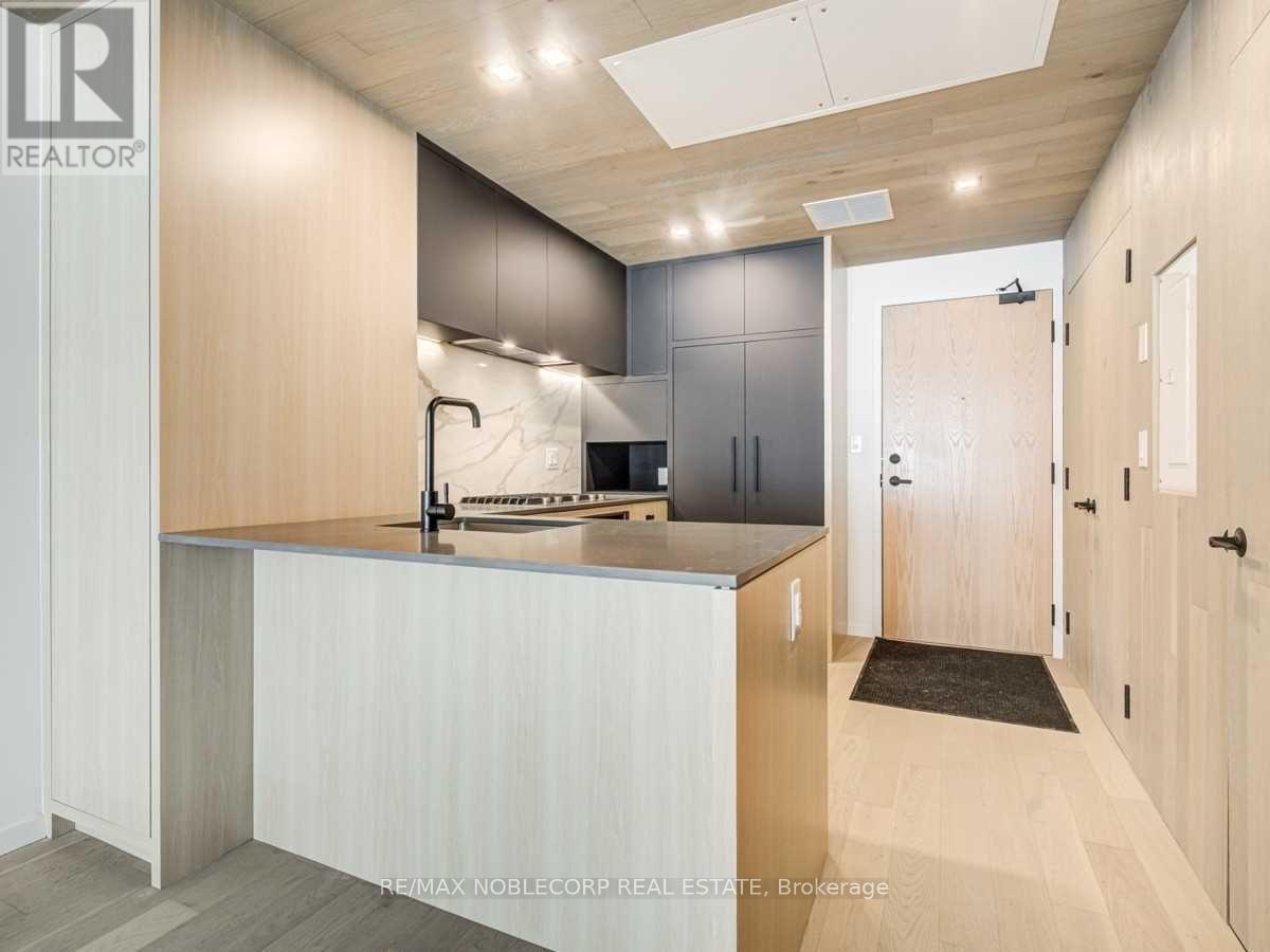 102 - 45 Dovercourt Road, Toronto, Ontario  M6J 3C2 - Photo 8 - C12759428