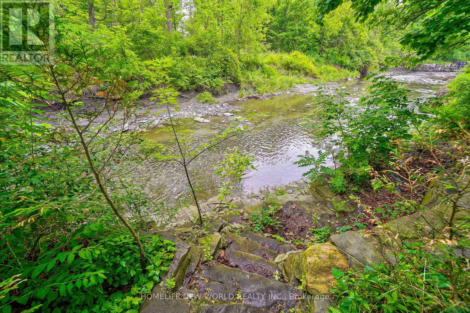 1305 Mineola Gardens, Mississauga, Ontario  L5G 3Y5 - Photo 23 - W12759434