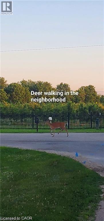 263 Chestnut Ridge, Waterloo, Ontario  N2K 0E6 - Photo 48 - 40798867