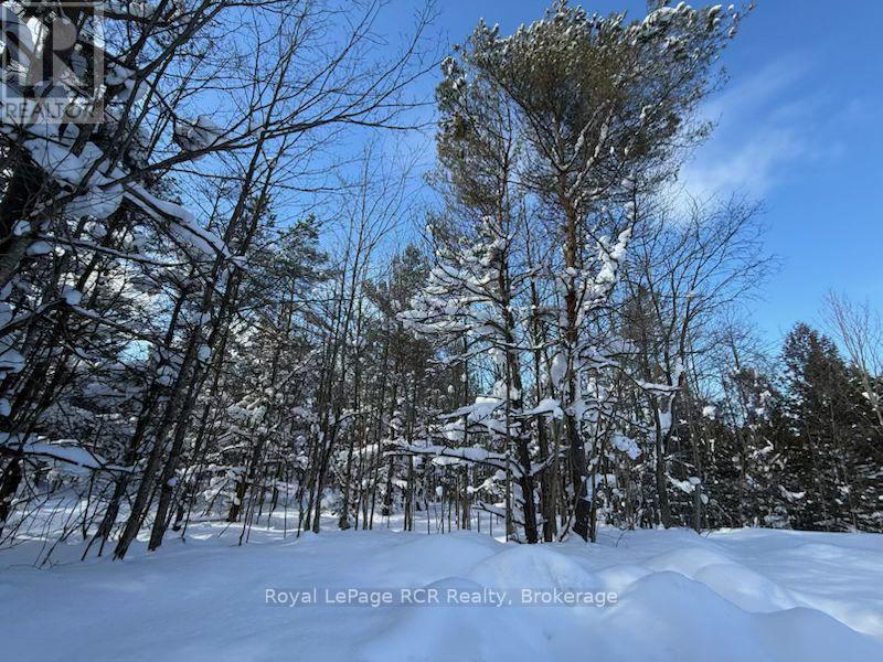 603391 Lime Kiln Road, Chatsworth, Ontario  N0H 1R0 - Photo 35 - X12756910