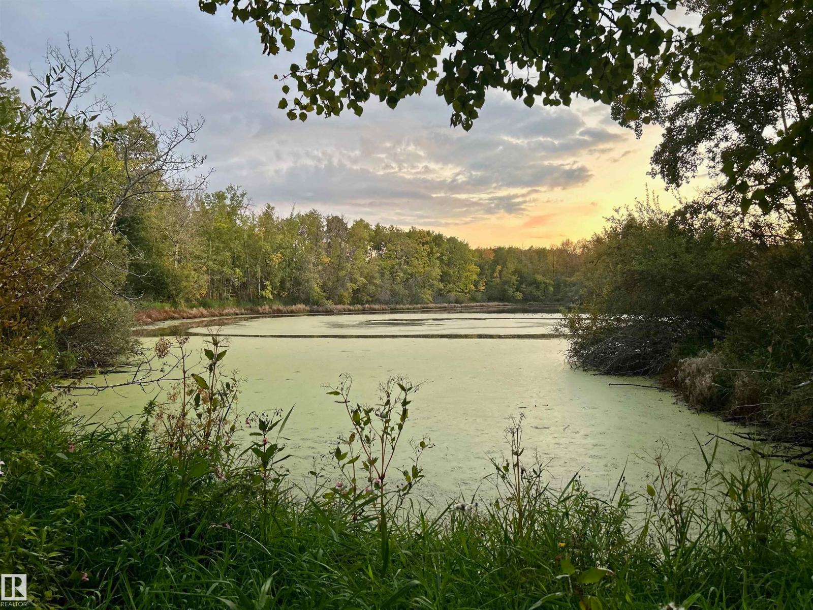 #73 23020 Twp Road 522, Rural Strathcona County, Alberta  T8B 1H1 - Photo 60 - E4468420