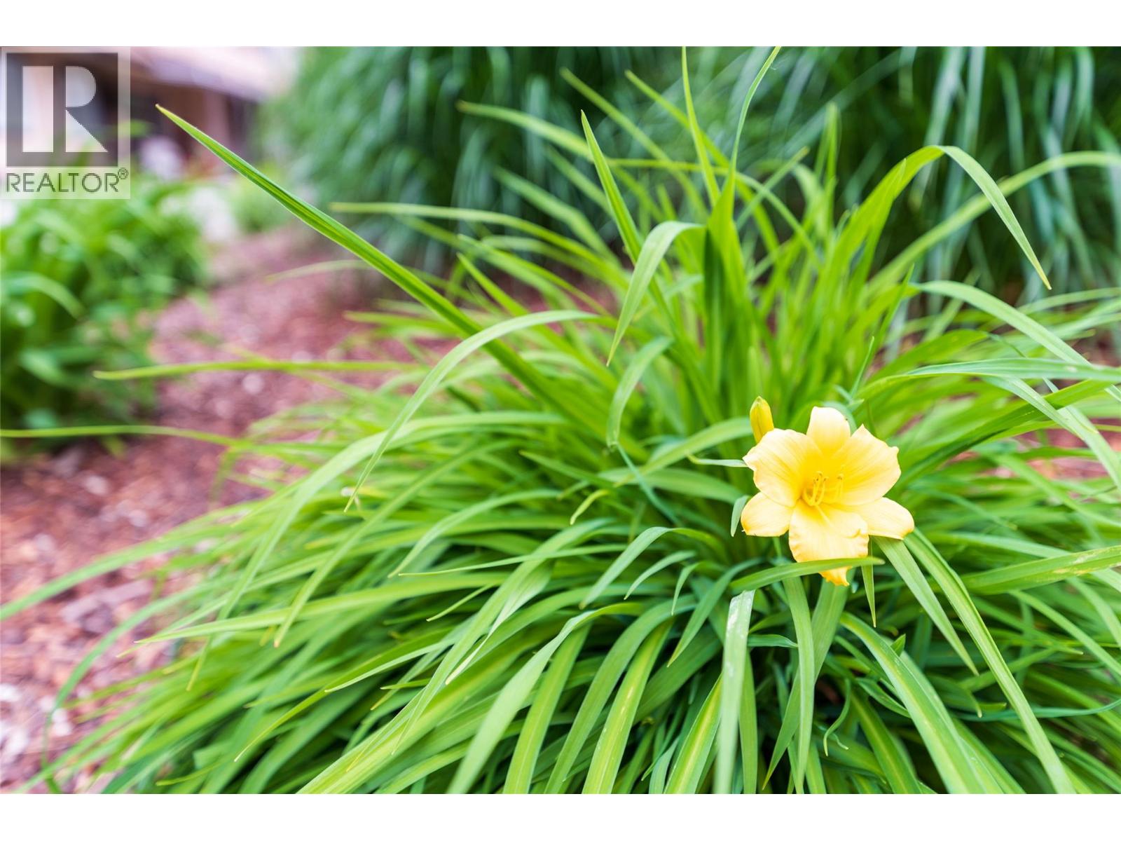 337 Mckinney Road Unit# 216, Oliver, British Columbia  V0H 1T3 - Photo 56 - 10374849