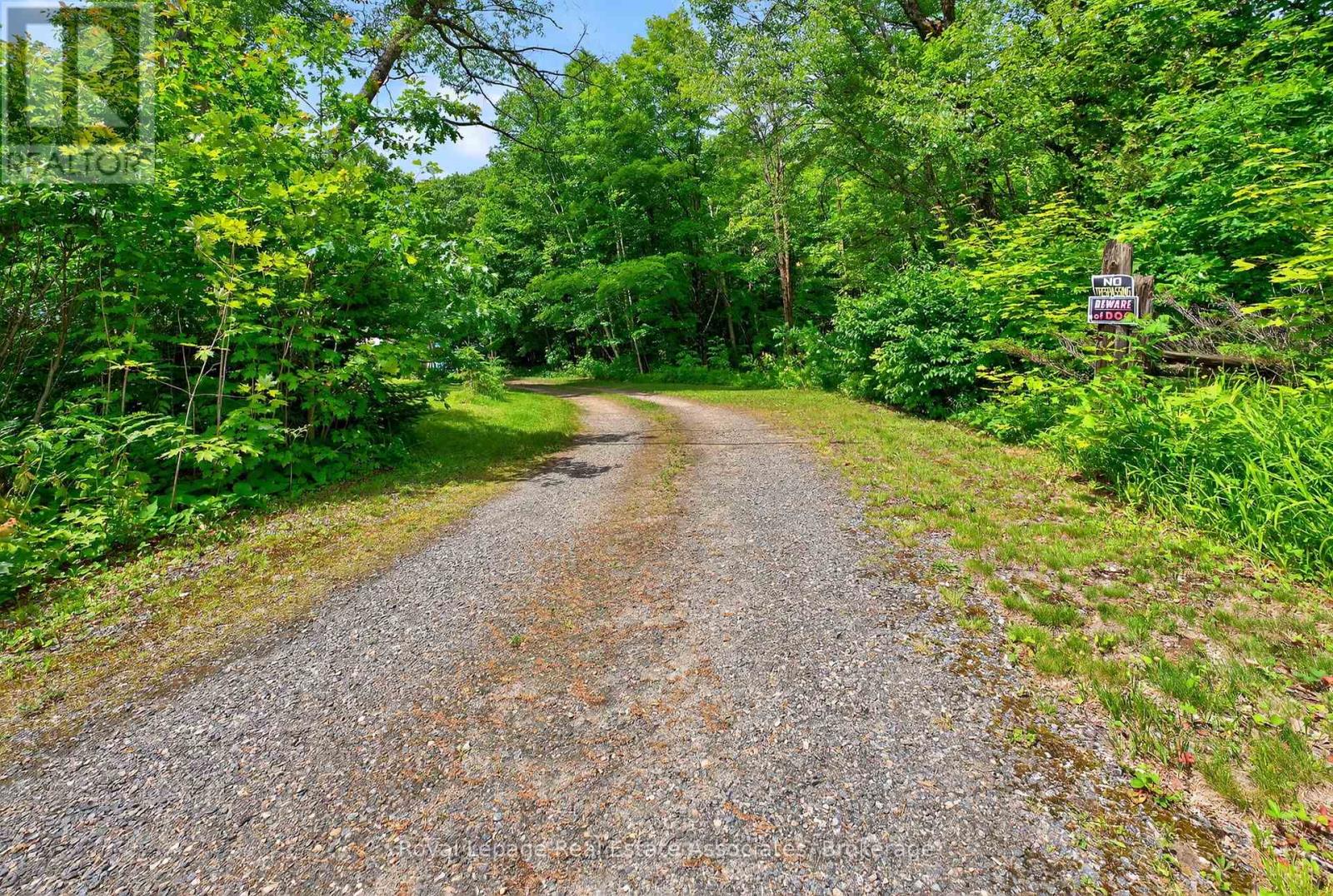 17377 35 Highway, Algonquin Highlands, Ontario  K0M 1S0 - Photo 4 - X12759490