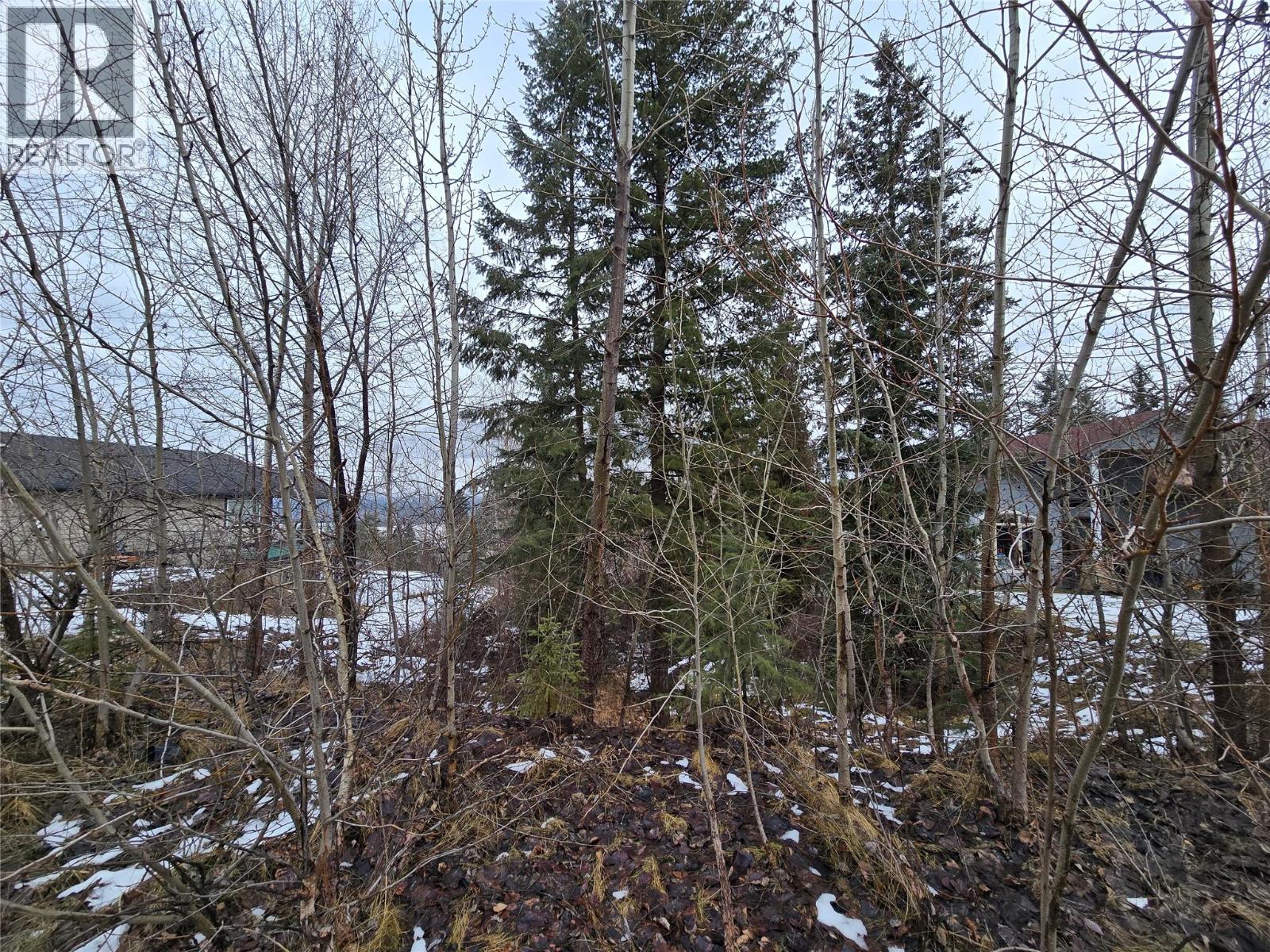 2557 Cedar Ridge Court, Lumby, British Columbia  V0E 2G5 - Photo 5 - 10374388