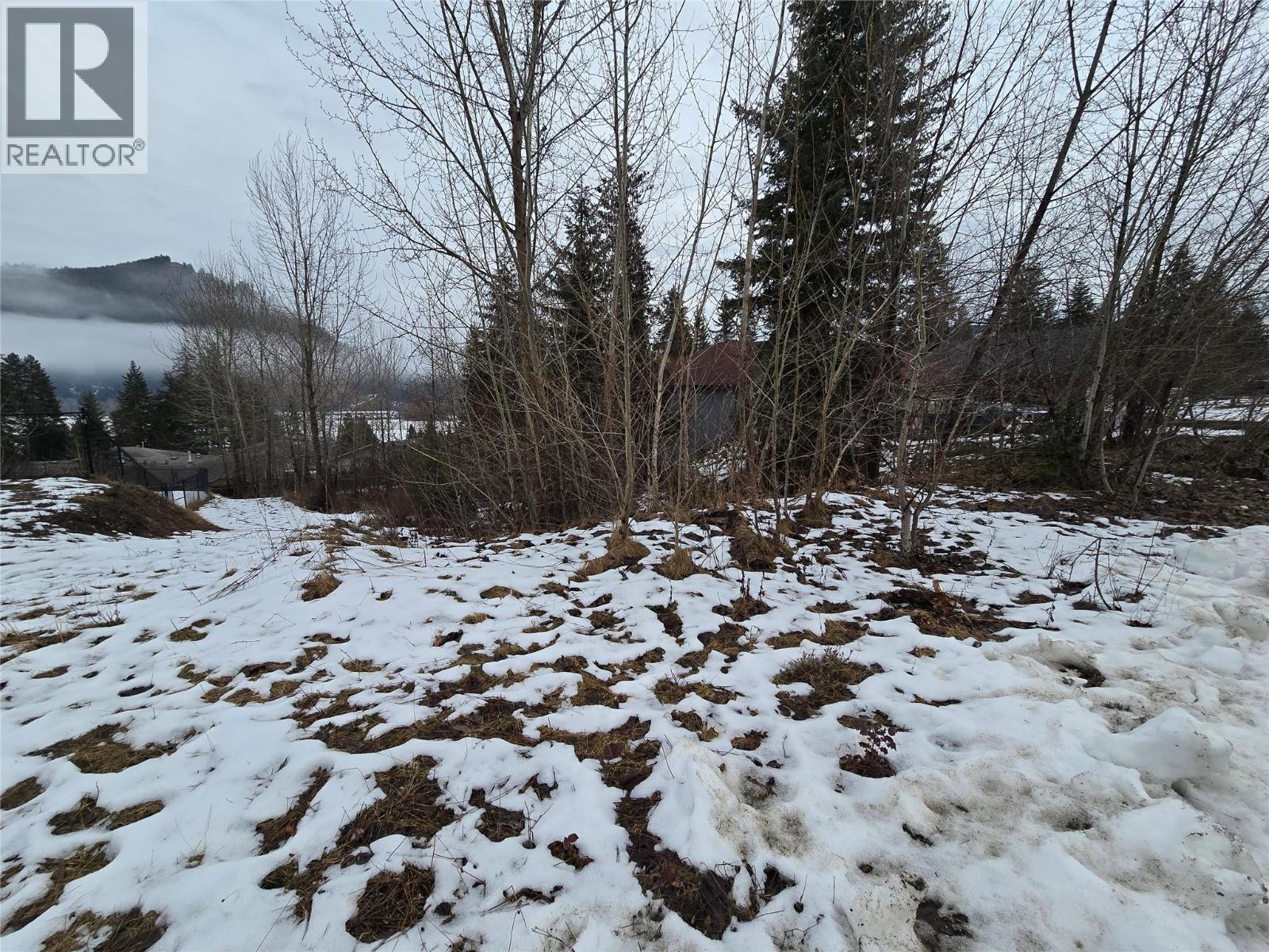 2557 Cedar Ridge Court, Lumby, British Columbia  V0E 2G5 - Photo 6 - 10374388