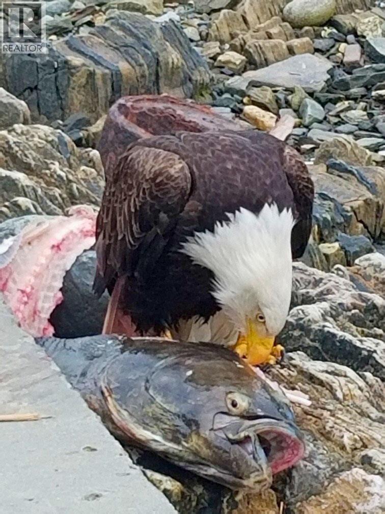 Dl 2200 Oona River Avenue, Prince Rupert, British Columbia  V0V 1E0 - Photo 8 - R3086741