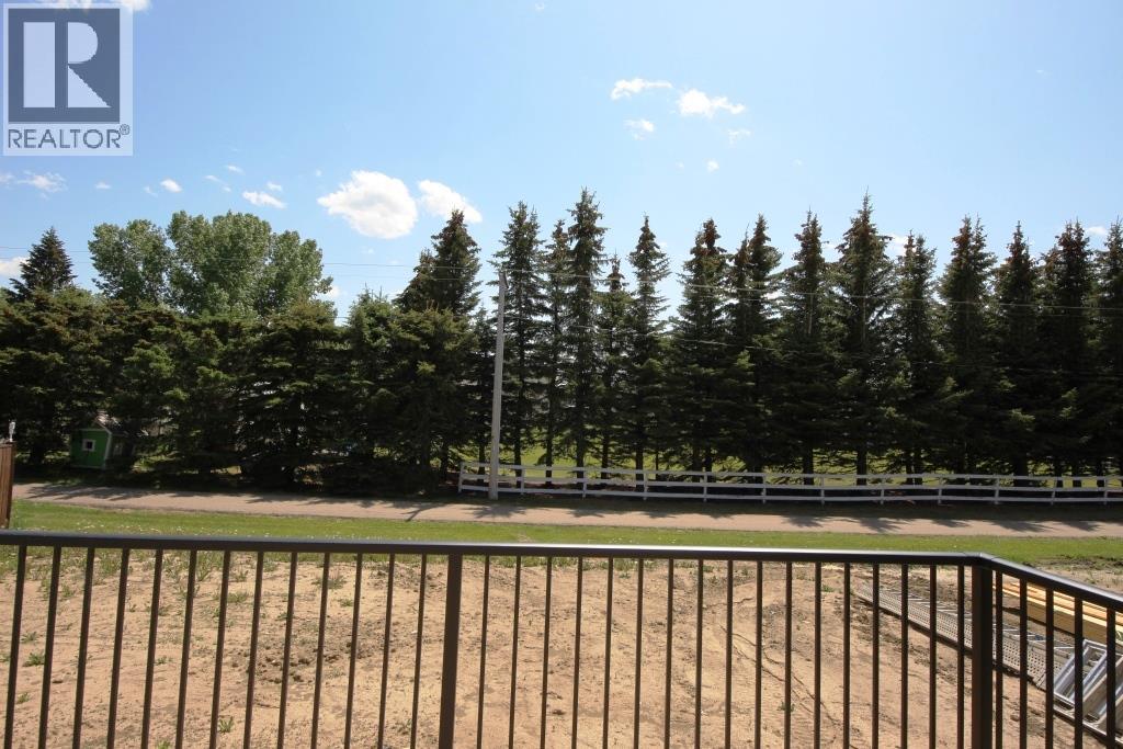 35 Viceroy Crescent, Olds, Alberta  T4H 0E4 - Photo 40 - A2274283