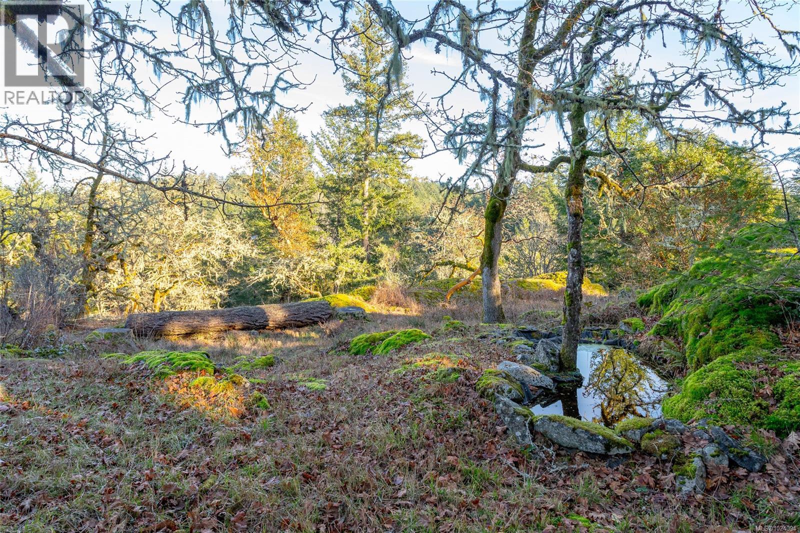 240 Viaduct Ave W, Saanich, British Columbia  V9E 2B6 - Photo 51 - 1024094