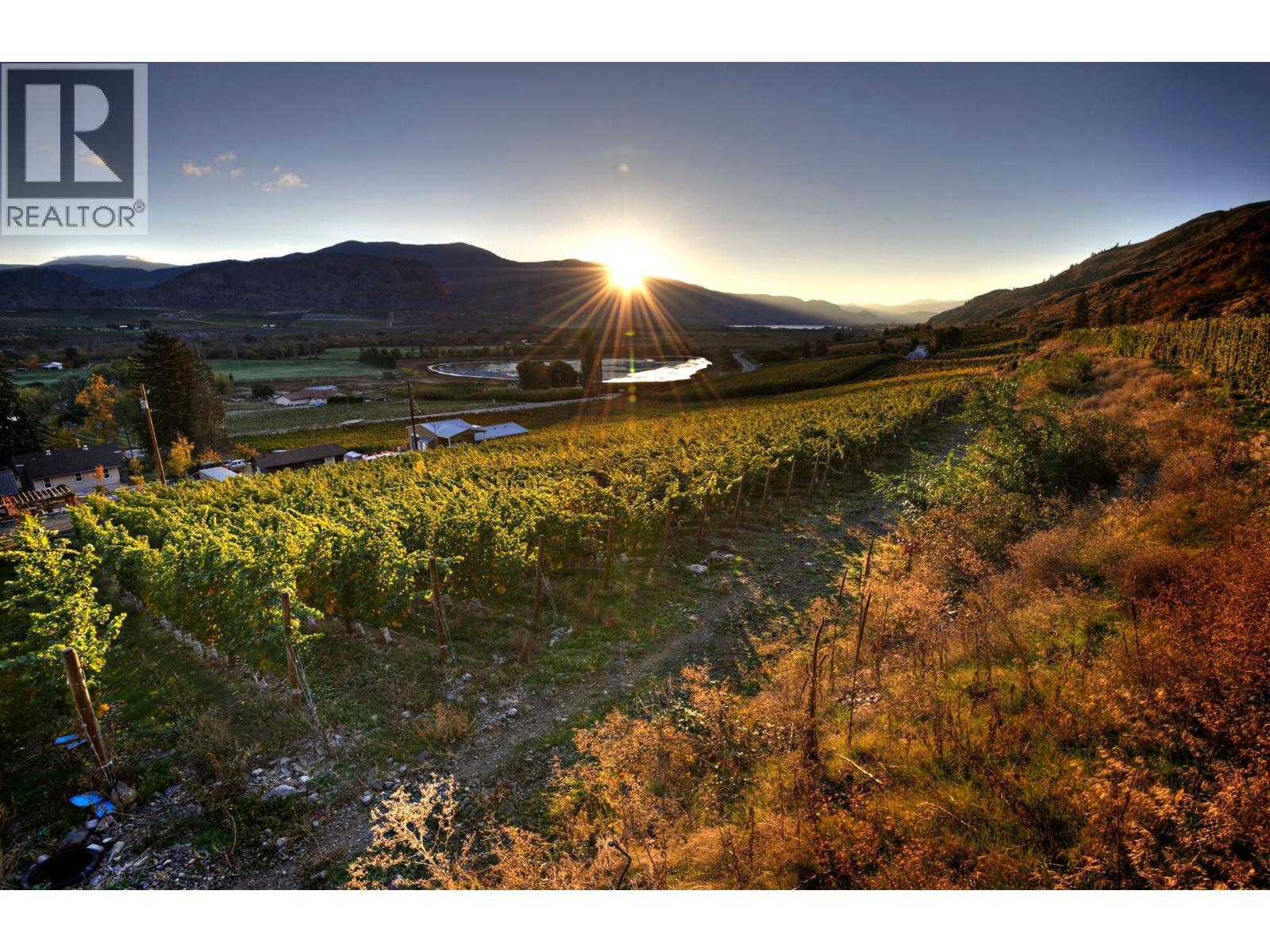 3974 Hwy 97 Highway, Oliver, British Columbia  V0H 1T1 - Photo 2 - 10374332