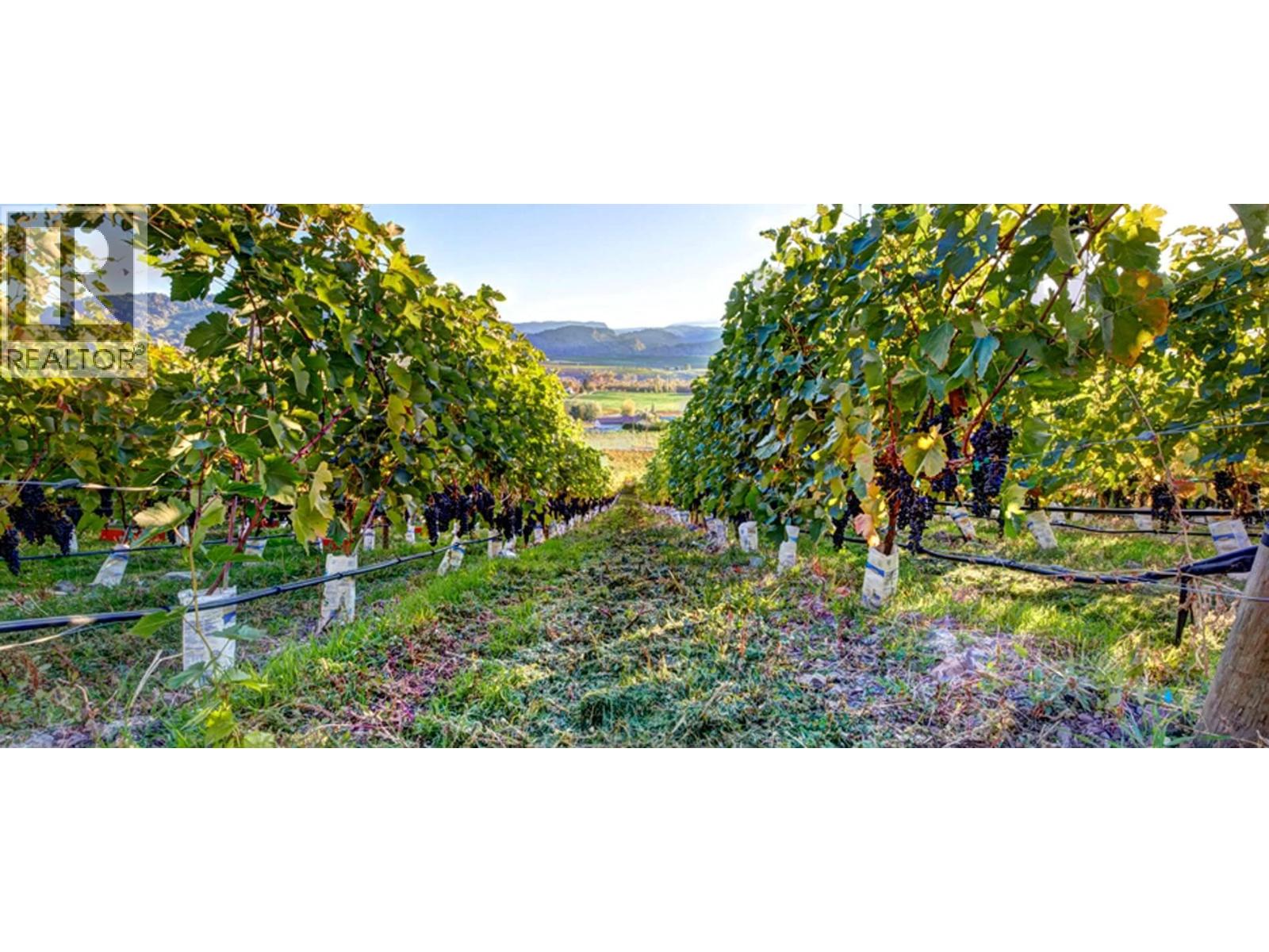 3974 Hwy 97 Highway, Oliver, British Columbia  V0H 1T1 - Photo 45 - 10374332