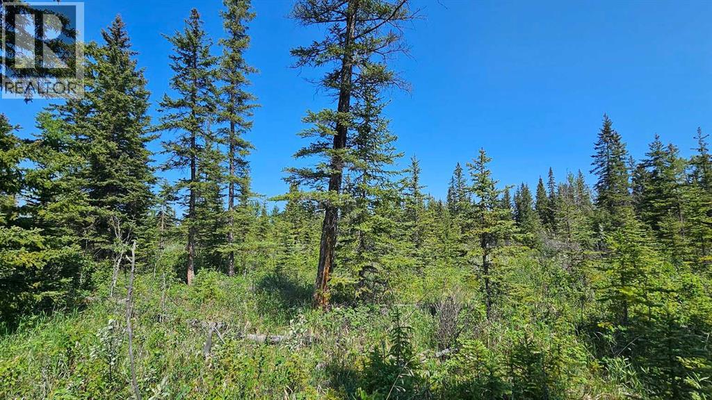 12, 34364 Range Road 42, Rural Mountain View County, Alberta  T0M 1X0 - Photo 2 - A2224204