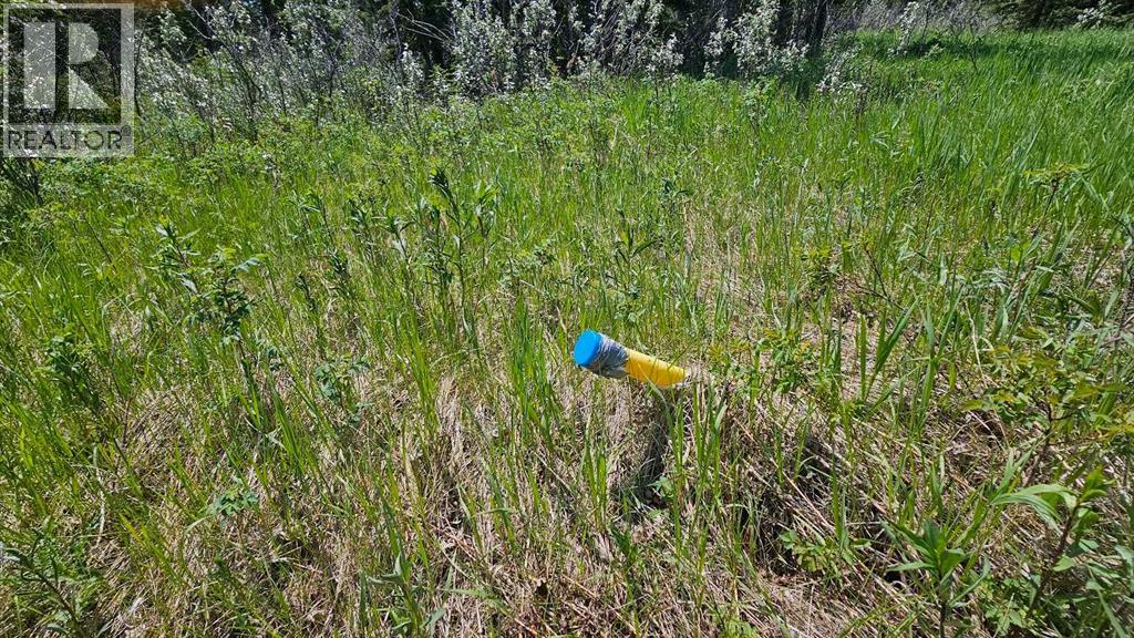 19, 34364 Range Road 42, Rural Mountain View County, Alberta  T0M 1X0 - Photo 2 - A2224208