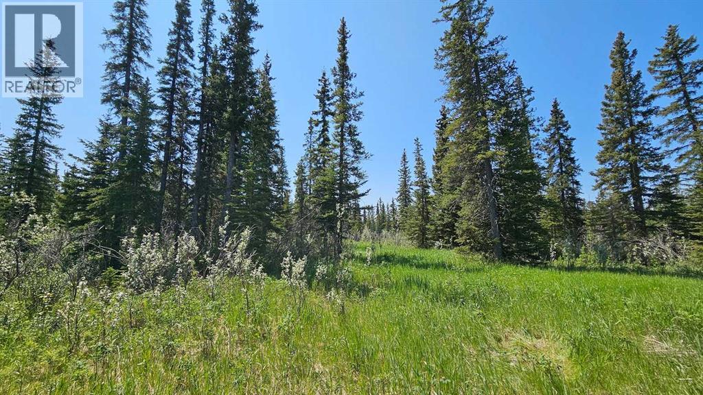 19, 34364 Range Road 42, Rural Mountain View County, Alberta  T0M 1X0 - Photo 3 - A2224208