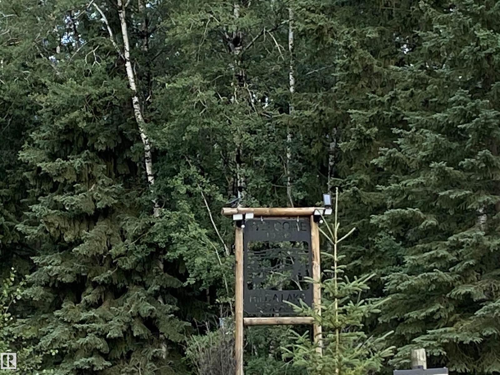 64118 Rr434, Rural Bonnyville M.d., Alberta  T0A 0B0 - Photo 12 - E4470651