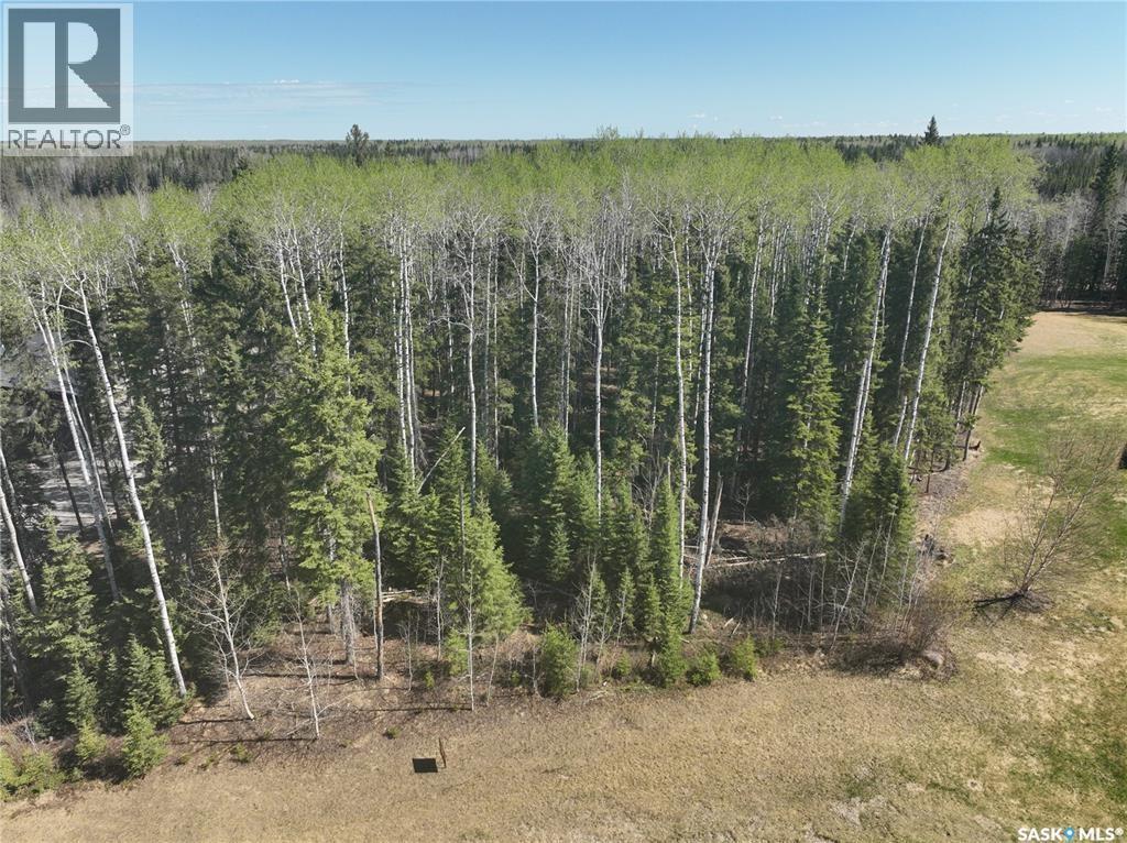 305 Meadow Ridge Drive, Candle Lake, Saskatchewan  S0J 3E0 - Photo 3 - SK027978