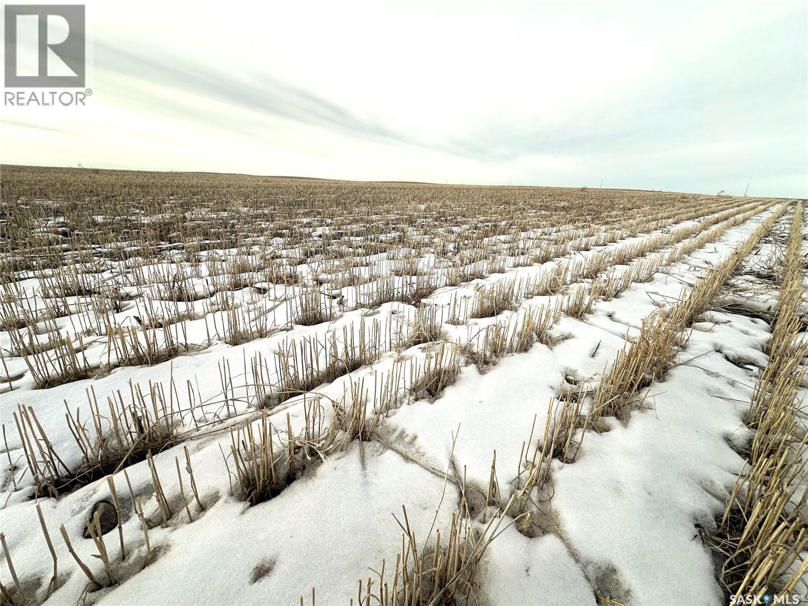 Austin Family Farm, Enterprise Rm No. 142, Saskatchewan  S0N 0C6 - Photo 2 - SK027971
