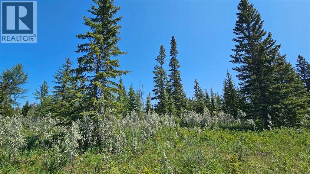 20, 34364 Range Road 42, Rural Mountain View County, Alberta  T0M 1X0 - Photo 4 - A2224213