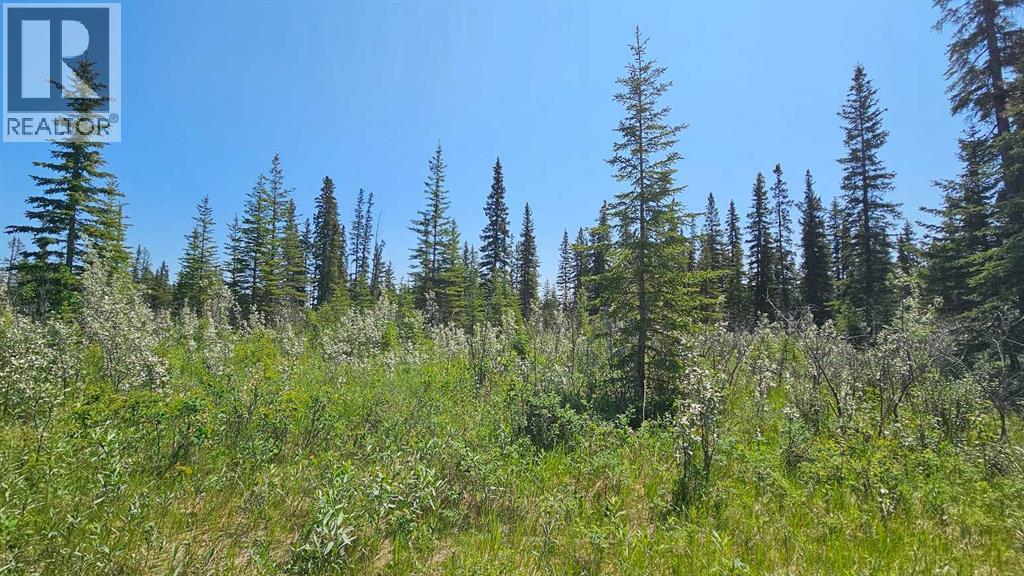 11, 34364 Range Road 42, Rural Mountain View County, Alberta  T0M 1X0 - Photo 3 - A2248905