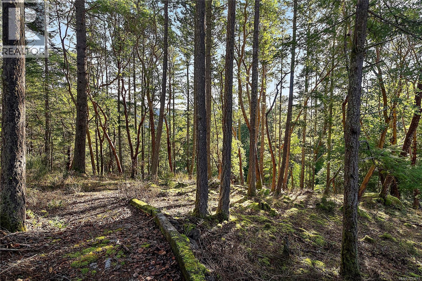 1126 Aspen Rd, Malahat, British Columbia  V0R 2L0 - Photo 35 - 1023610