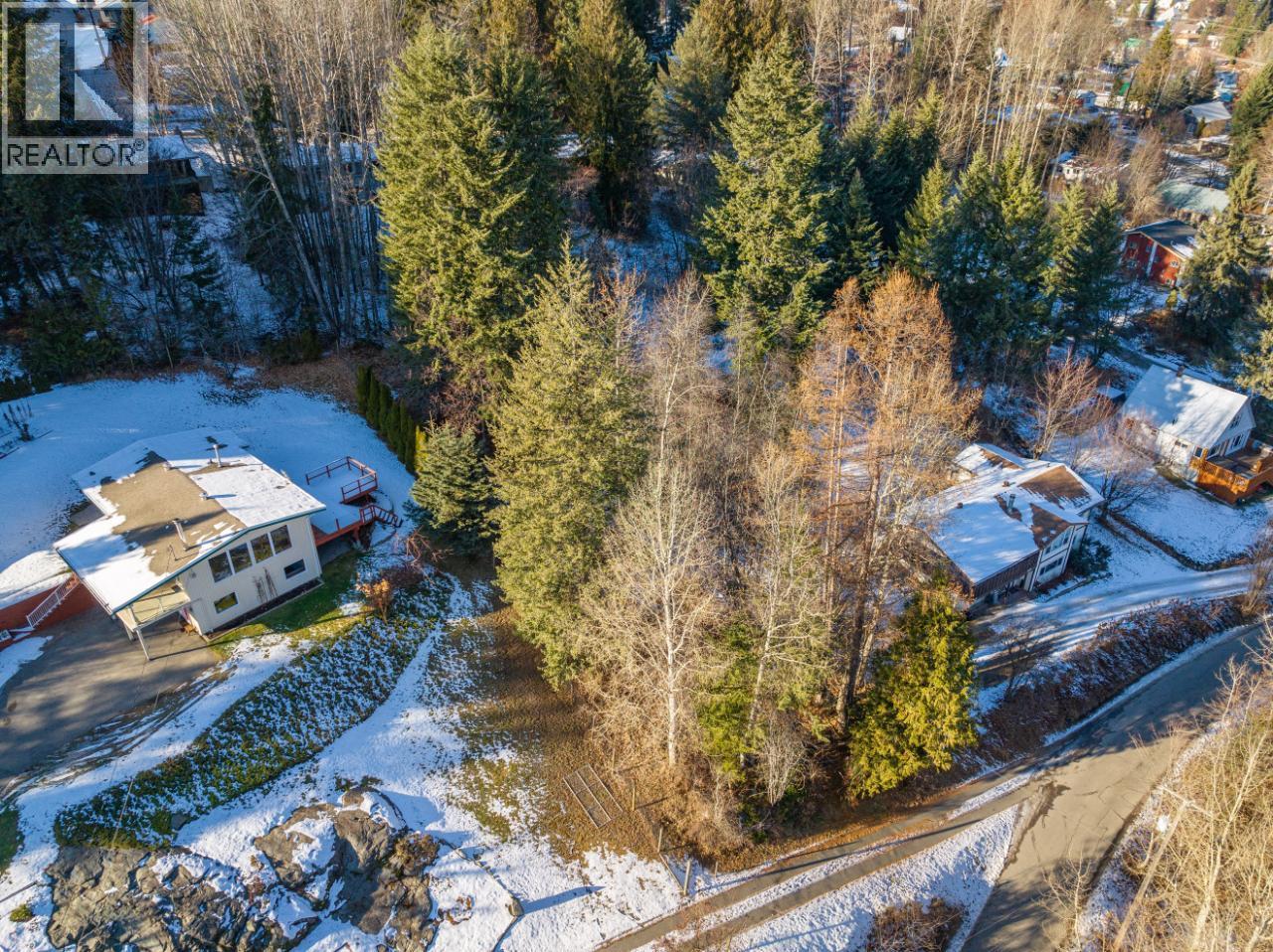 1101 Spokane Street, Rossland, British Columbia  V0G 1Y0 - Photo 24 - 10374979