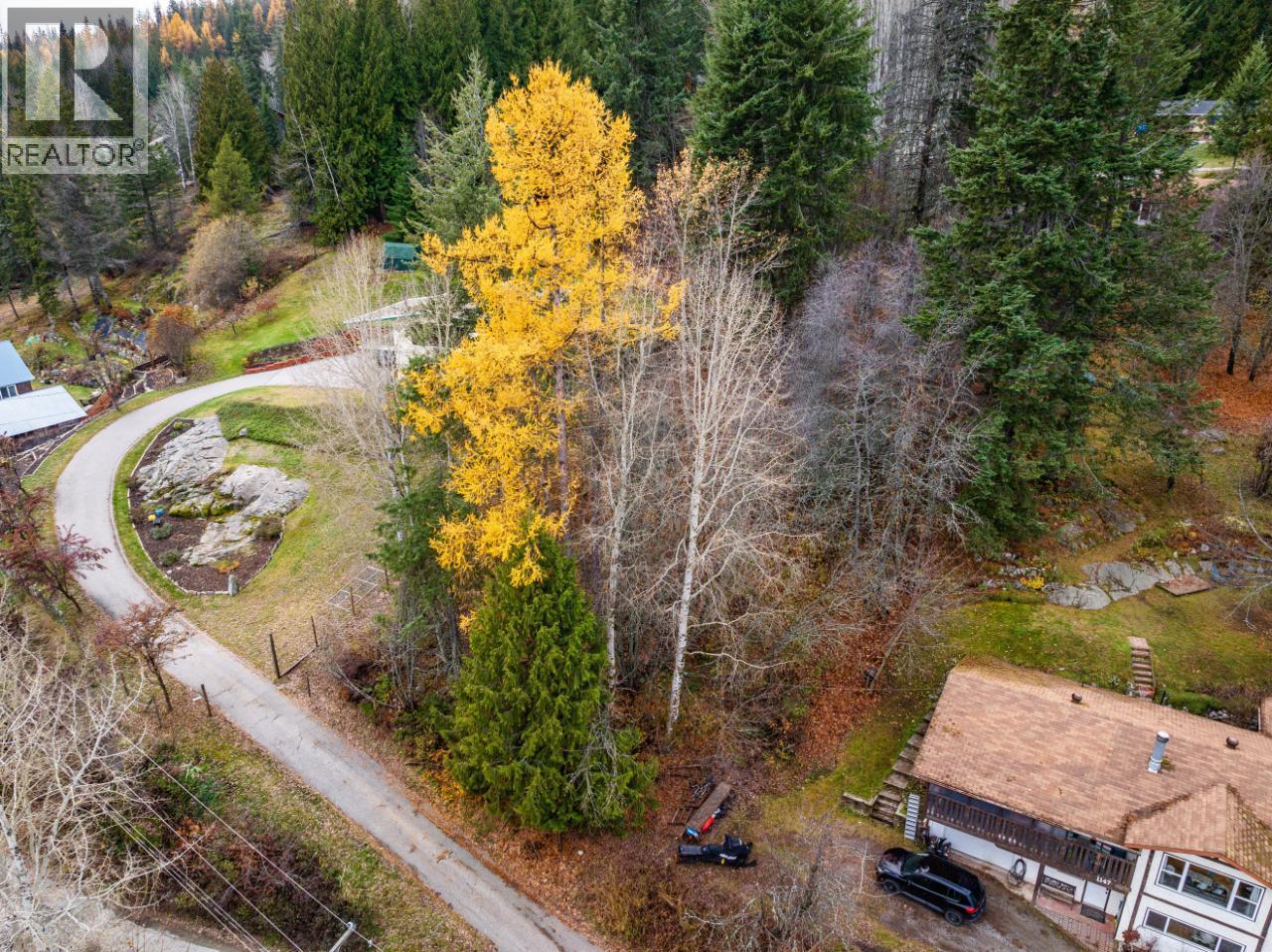 1101 Spokane Street, Rossland, British Columbia  V0G 1Y0 - Photo 21 - 10374979