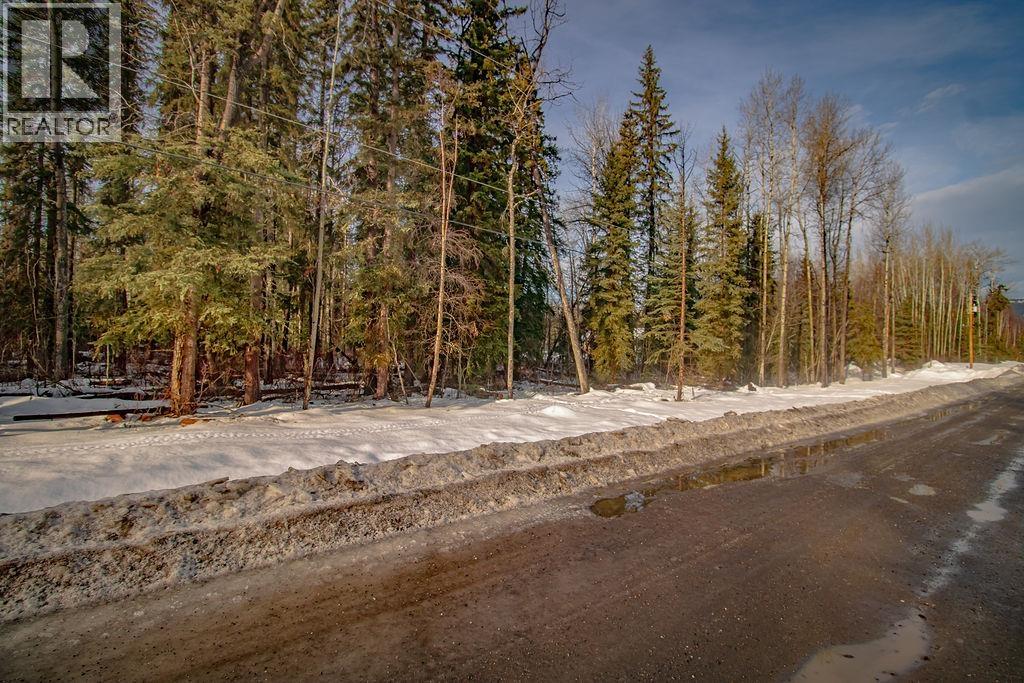 Lot 2 Kring Road, Fort St. James, British Columbia  V0J 1P0 - Photo 3 - R3086224