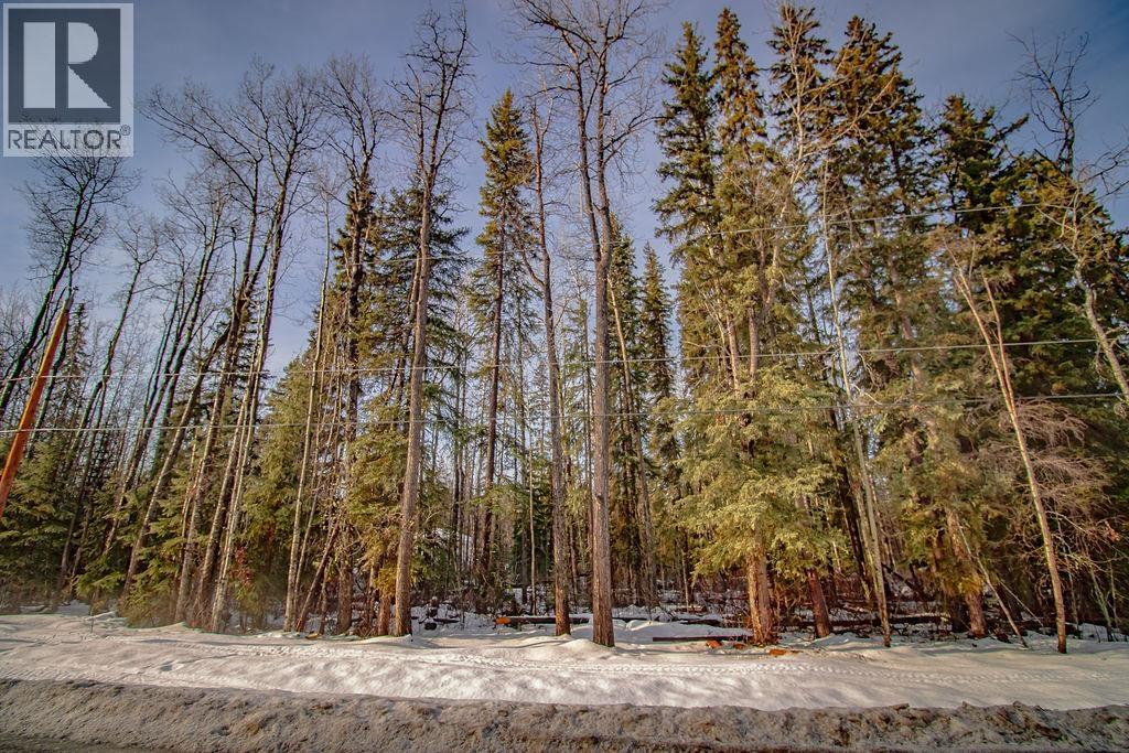 Lot 2 Kring Road, Fort St. James, British Columbia  V0J 1P0 - Photo 1 - R3086224