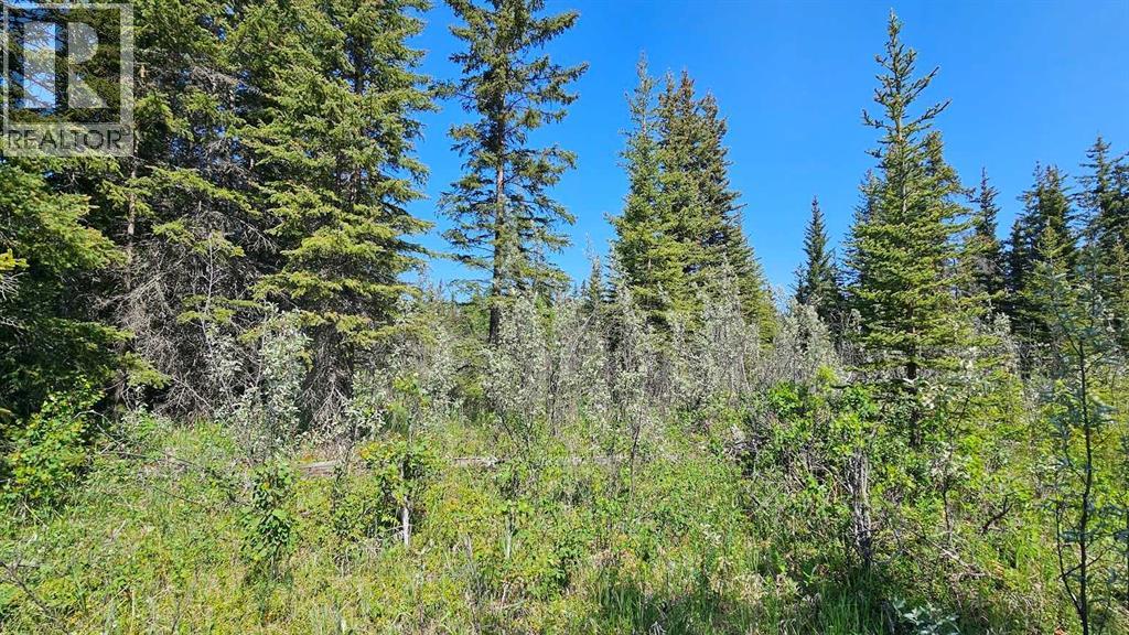 4, 34364 Range Road 42, Rural Mountain View County, Alberta  T0M 1X0 - Photo 3 - A2223874