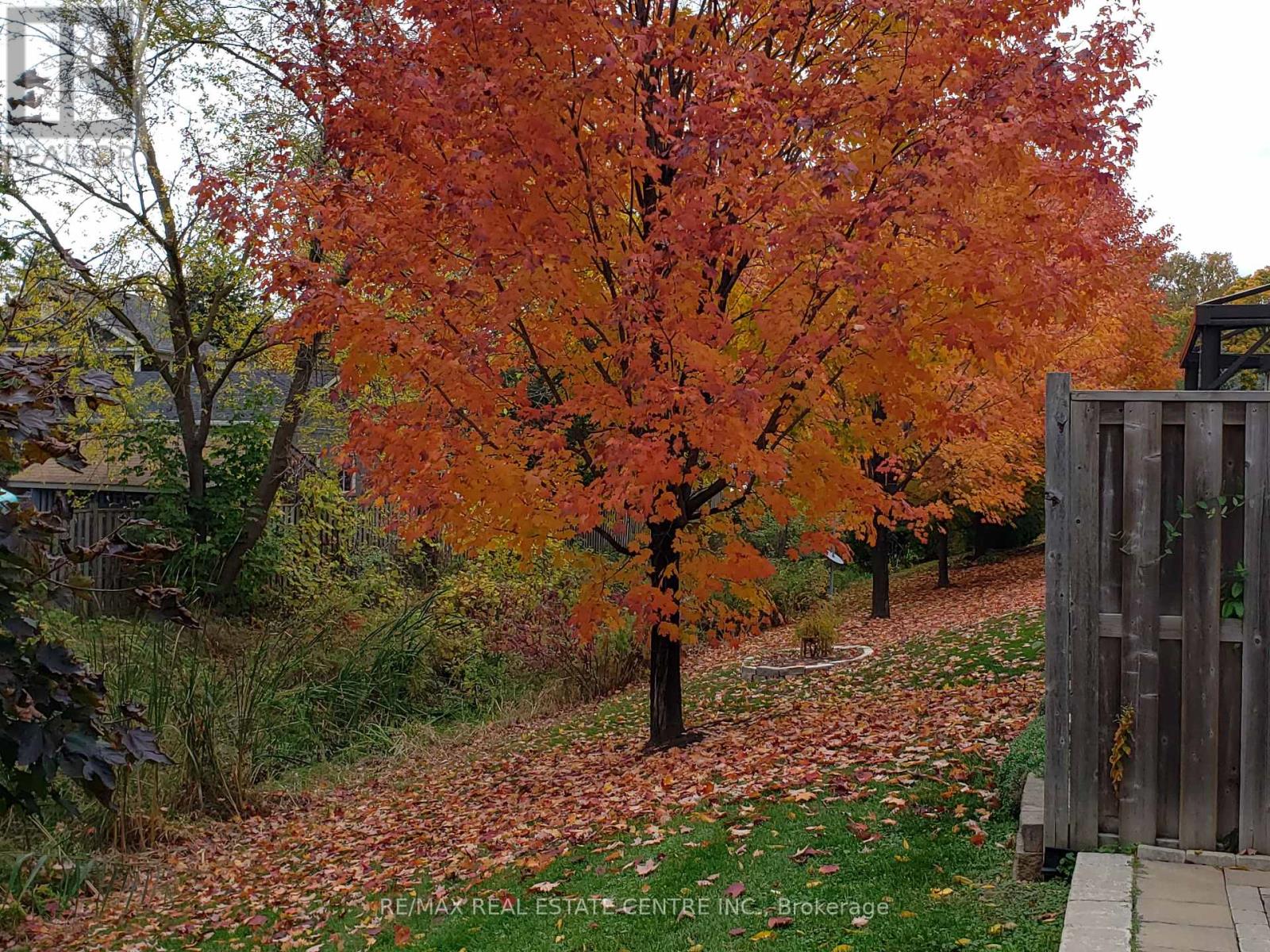 10 - 130 Robert Street, Milton, Ontario  L9T 6E3 - Photo 35 - W12759928