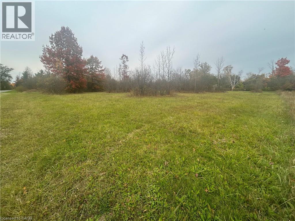 00 Richmond Avenue Avenue, Fort Erie, Ontario  L2A 5M4 - Photo 3 - 40803120