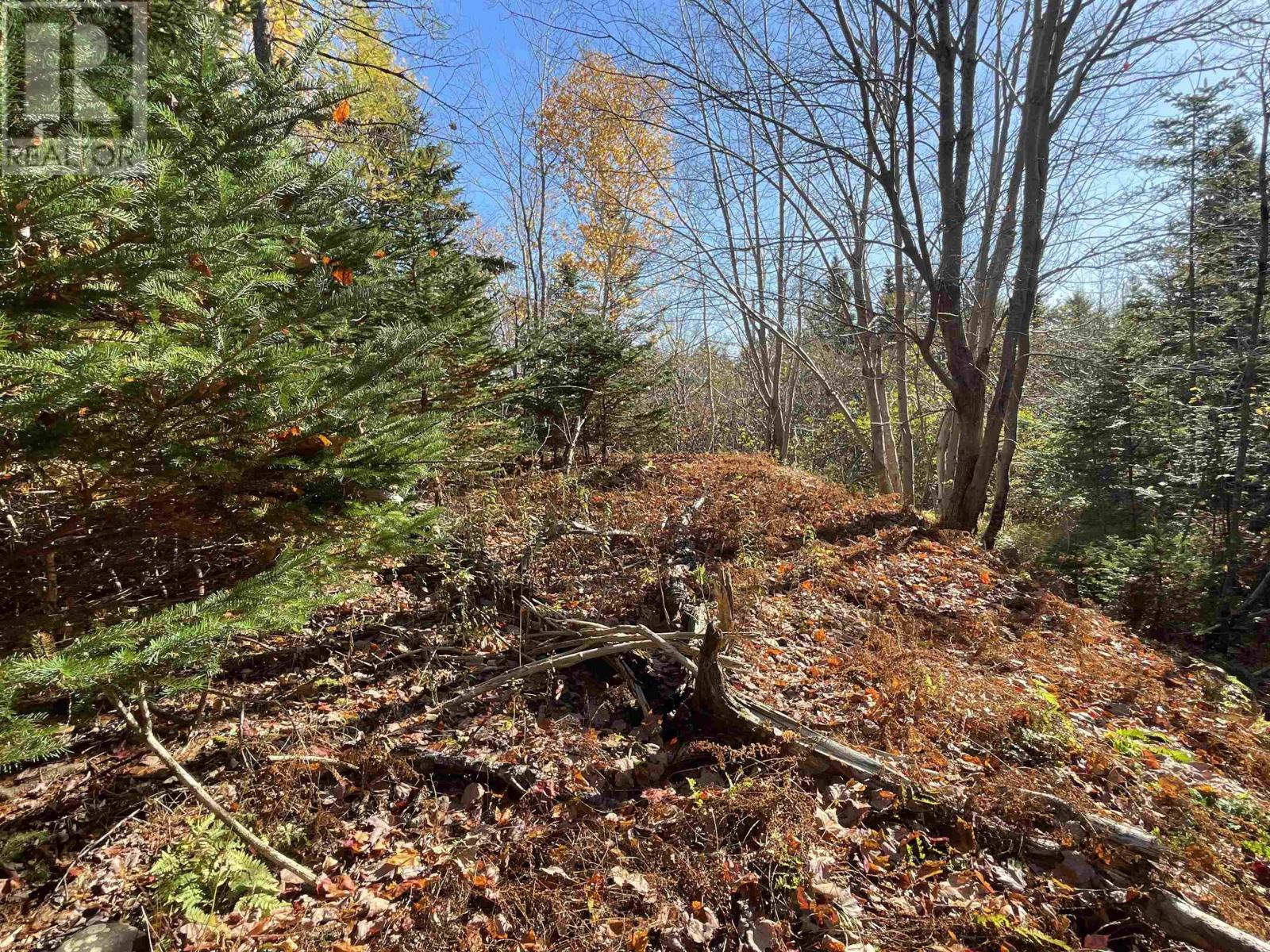 Mosher Road, Conrod Settlement, Nova Scotia  B0J 2L0 - Photo 3 - 202526638