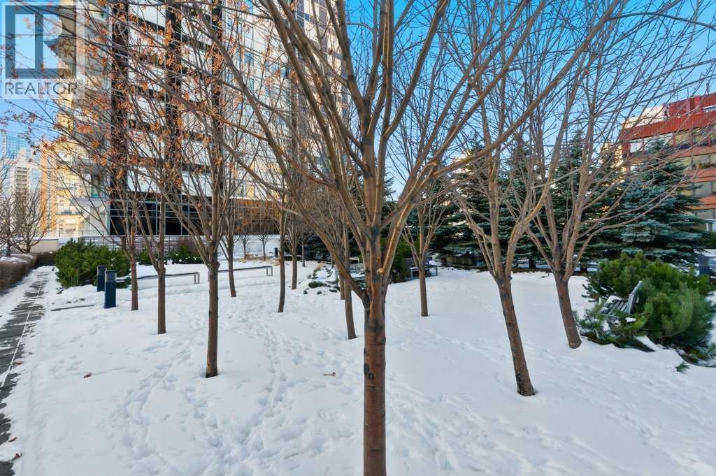 3109, 901 10 Avenue Sw, Calgary, Alberta  T2R 0B5 - Photo 45 - A2274471